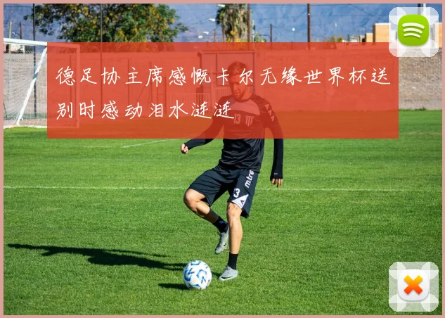 德足协主席感慨卡尔无缘世界杯送别时感动泪水涟涟